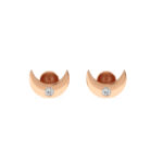 Discover parrot moon diamond studs Earrings