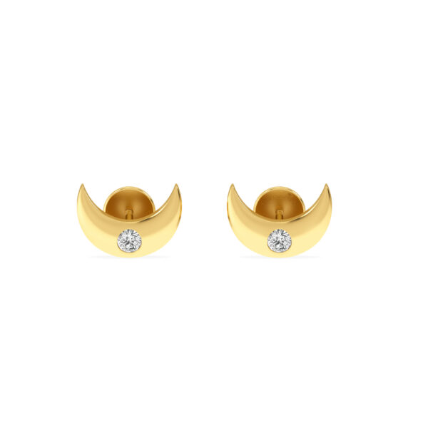 Discover parrot moon diamond studs Earrings